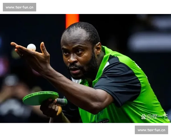 激战正酣的乒乓球赛场全面展现速度力量智慧与激情对决精彩瞬间秀