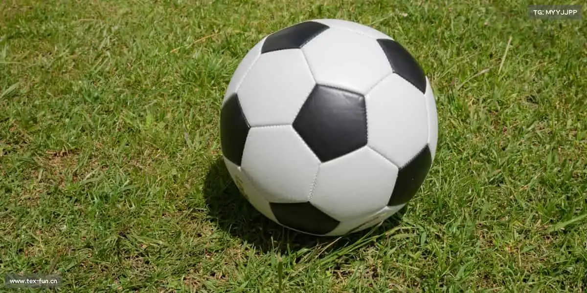 为什么选择我们